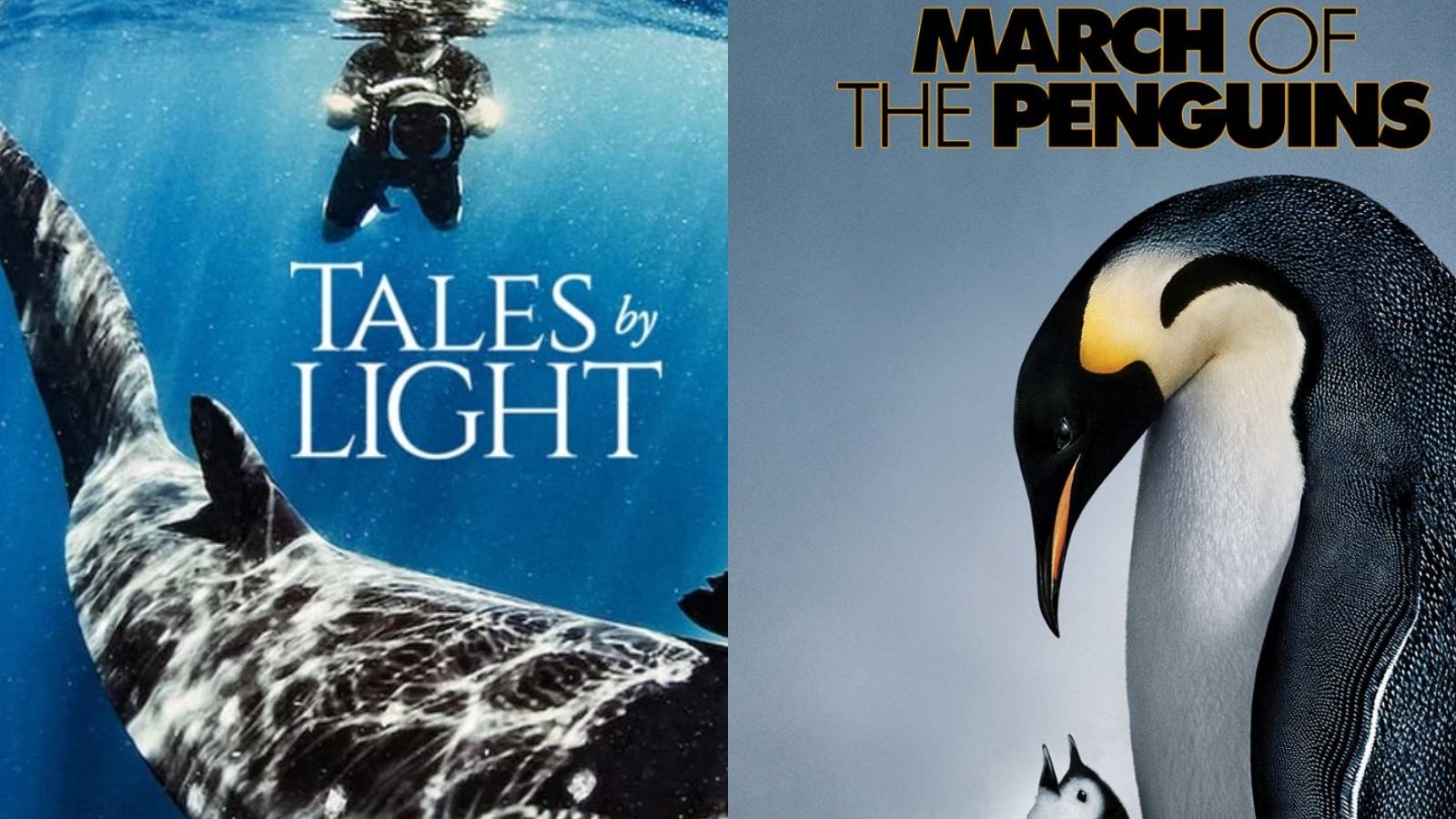 Nature Documentary Tales by light and March of the Penguins