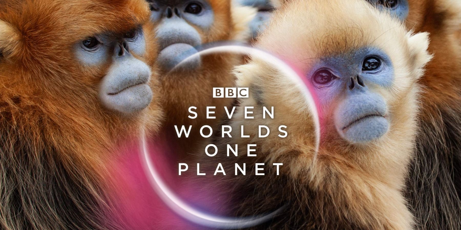Nature Documentary Seven Worlds, One Planet