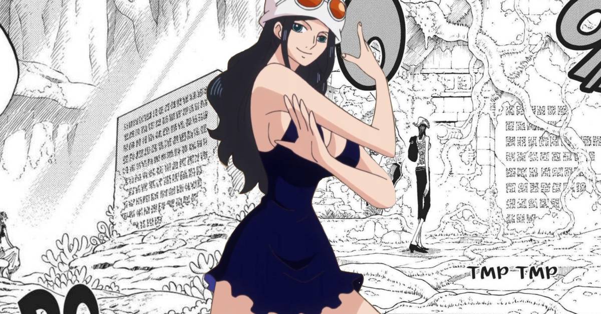 Rebin Role What Is Robin's Role In One Piece