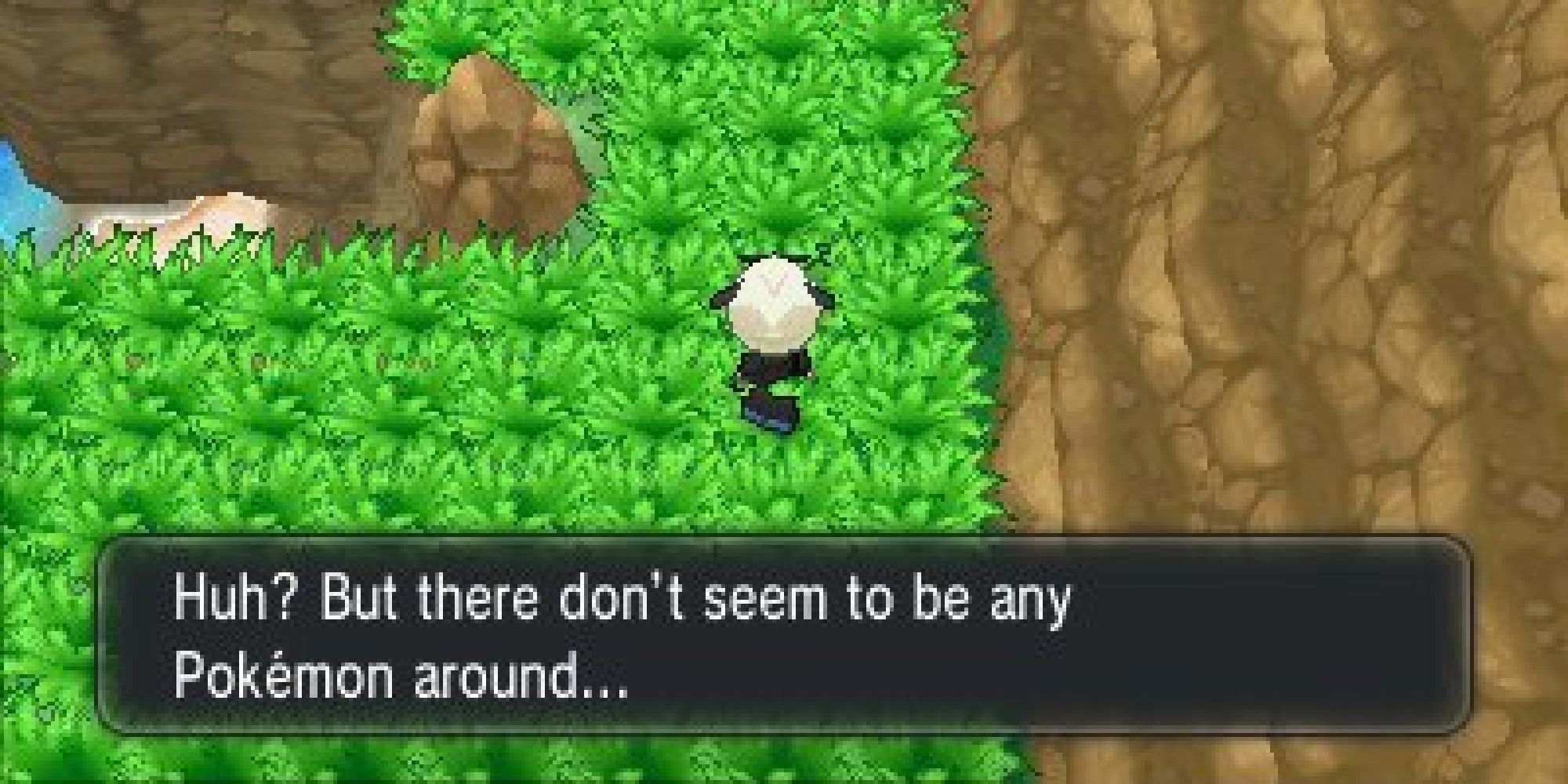 A player using a Poke Radar in X & Y but not detecting anything