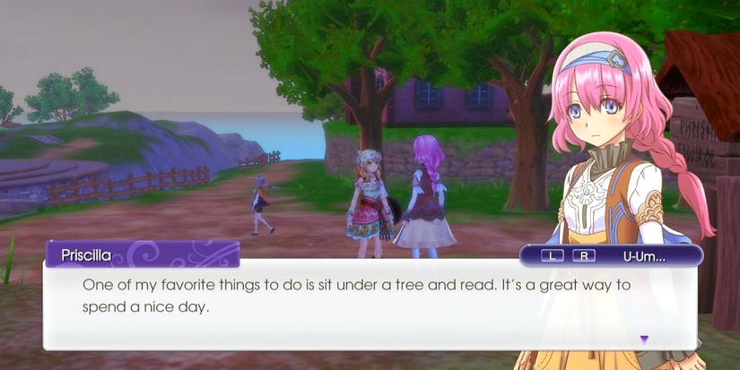 Dialogue Log Rune Factory The Things People Love And Dislike About Rune Factory 5