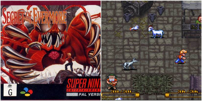 Secret of Evermore SNES split image of box art and hero walking through village with animals and market stand