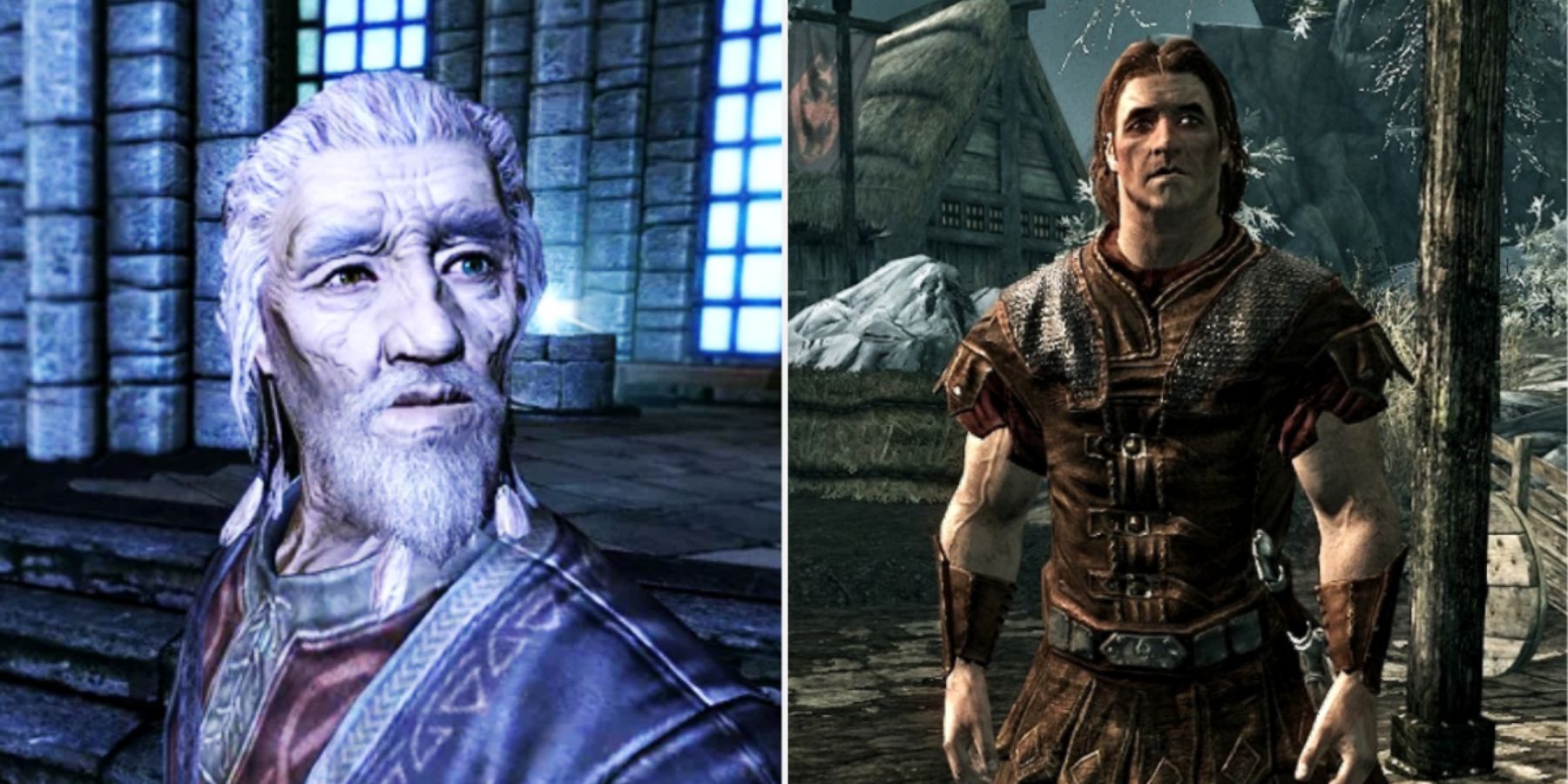 Skyrim Most Noble Characters Featuring Tolfdir And Hadvar