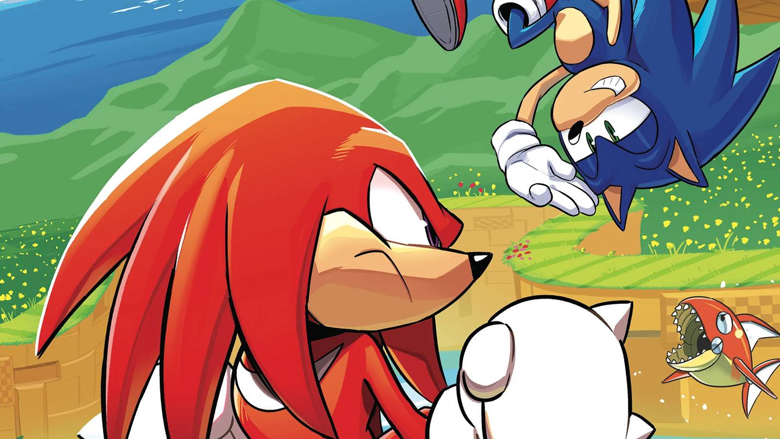 Sonic IDW Issue 3 Knuckles