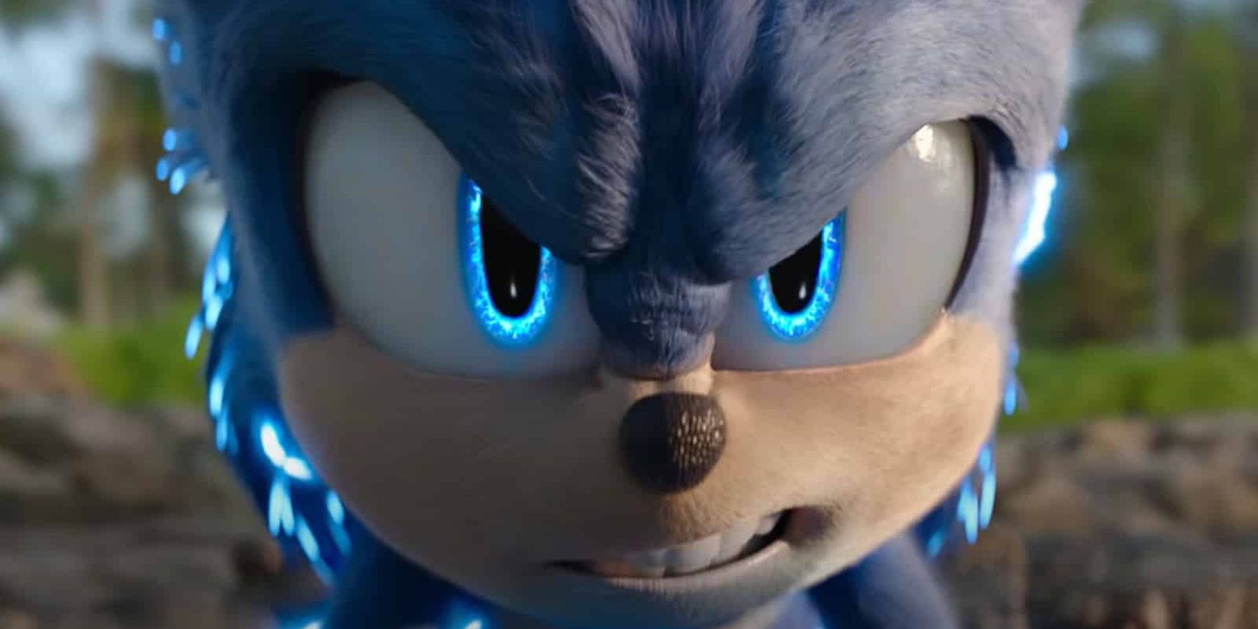 Sonic The Hedgehog 2