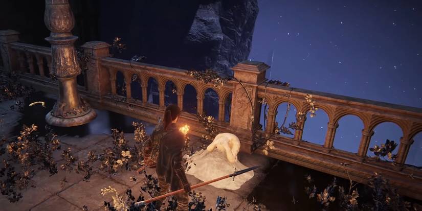 Speaking To D's Twin Brother 