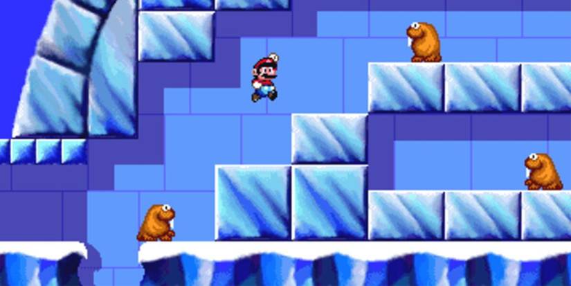 Super Mario Wacky Worlds