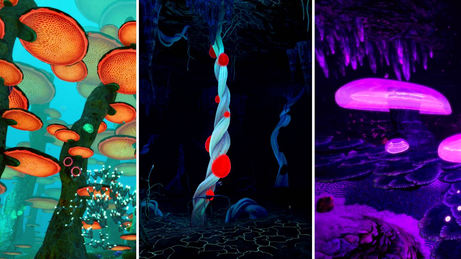 Subnautica Mushroom Forest Blood Kelp Jellyshroom Cave Biomes