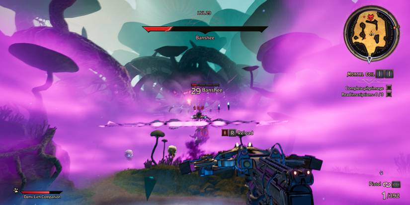 Tiny Tina's Wonderlands_Banshee Boss_Scream 1