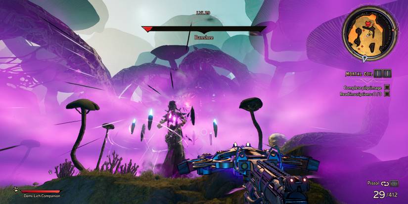 Tiny Tina's Wonderlands_Banshee Boss_Scream 2