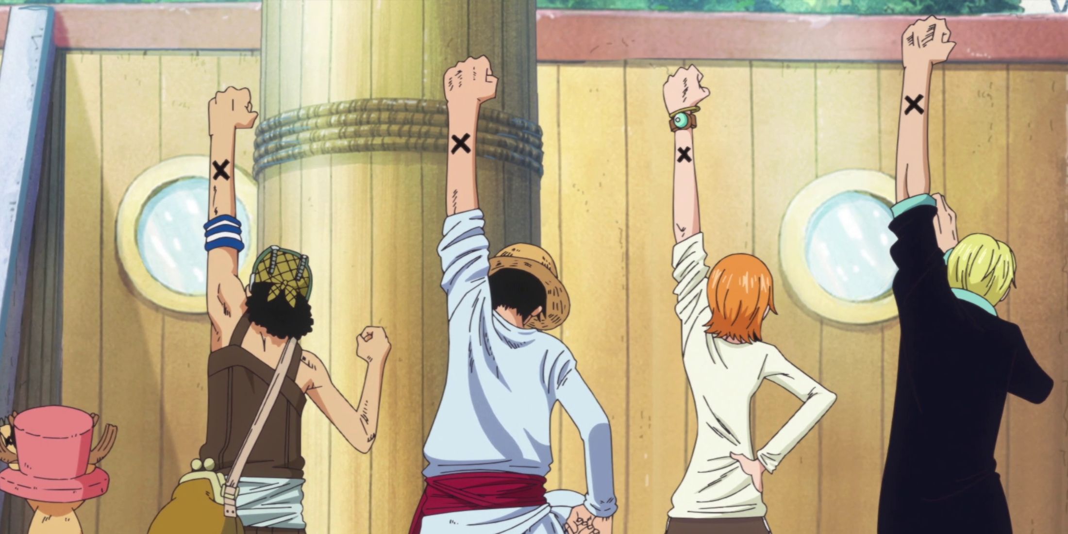 The straw Hats show their mark to Vivi