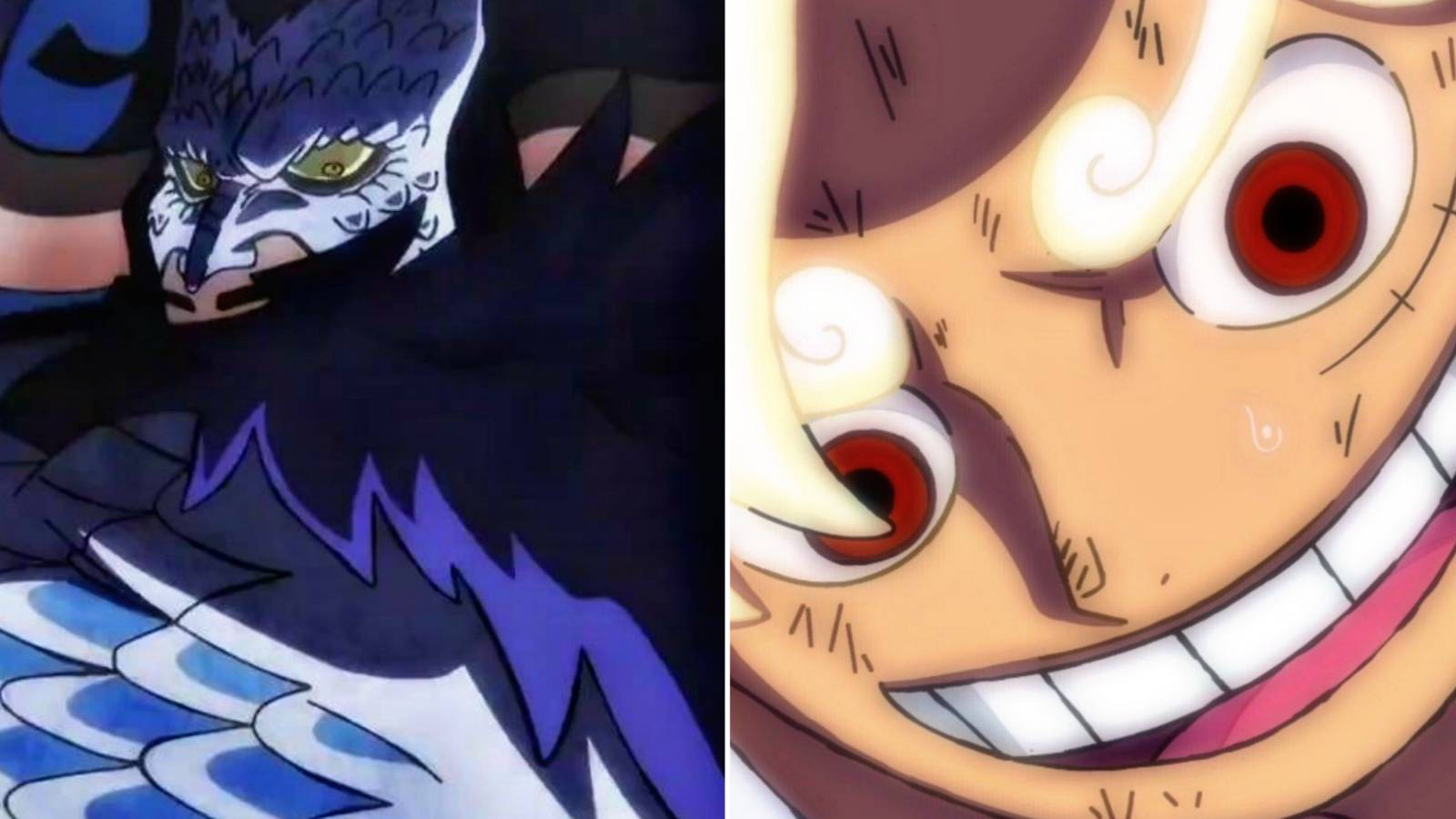 Wano Country Arc Too Long One Piece