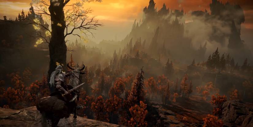 Elevated View Of the Woodfolk Forest 