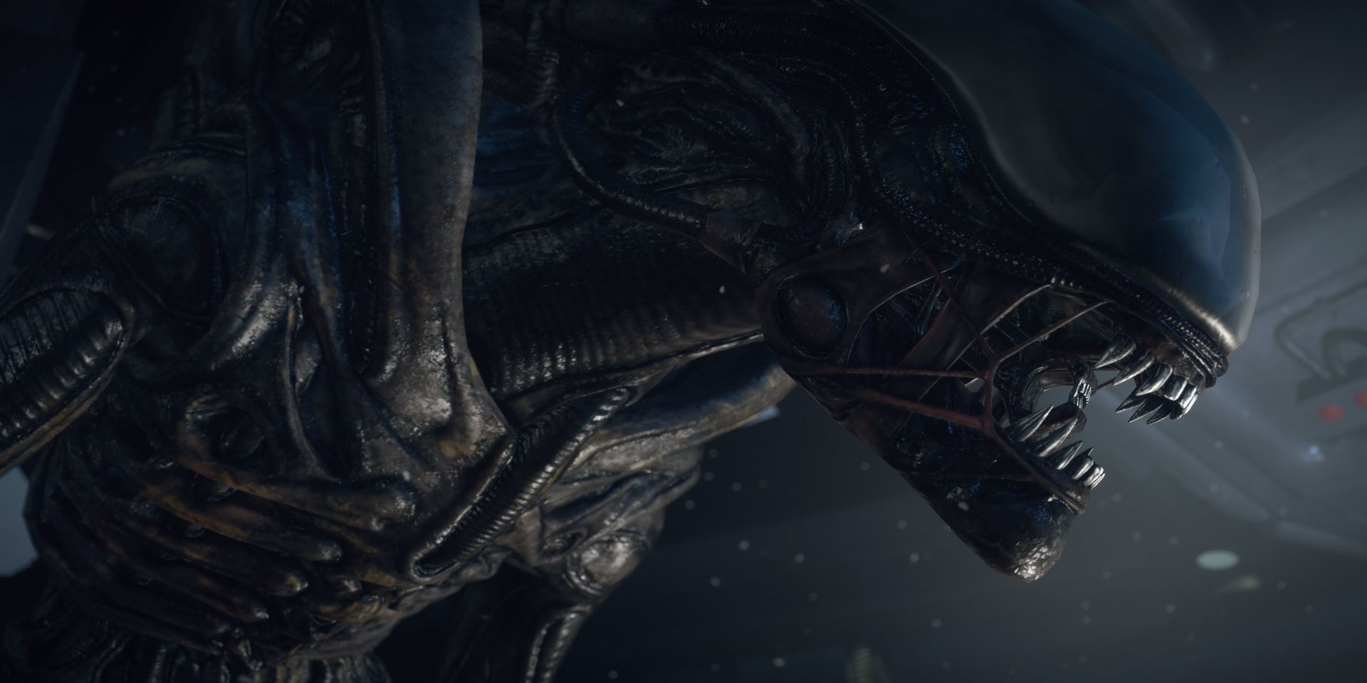 alien isolation showing the xenomorph upclose