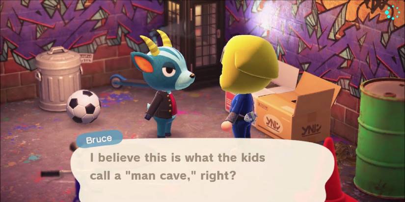 Bruce from Animal Crossing says "I believe this is what the kids call a 'man cave,' right?"