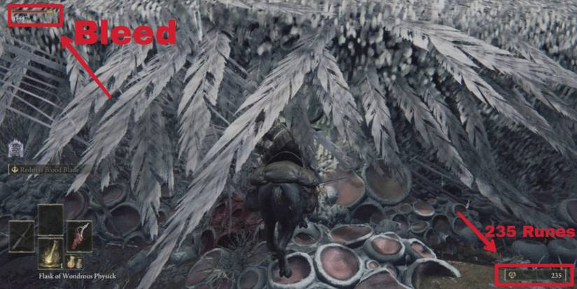 bleed build up on sleeping dragon in elden ring