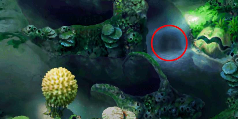 chrono cross shadow forest sleeping monster