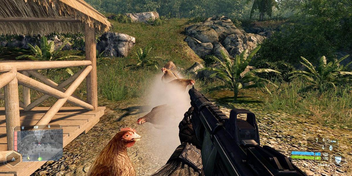 Gun shooting chickens