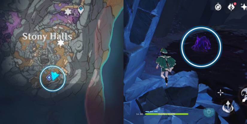 dark mud in genshin impact