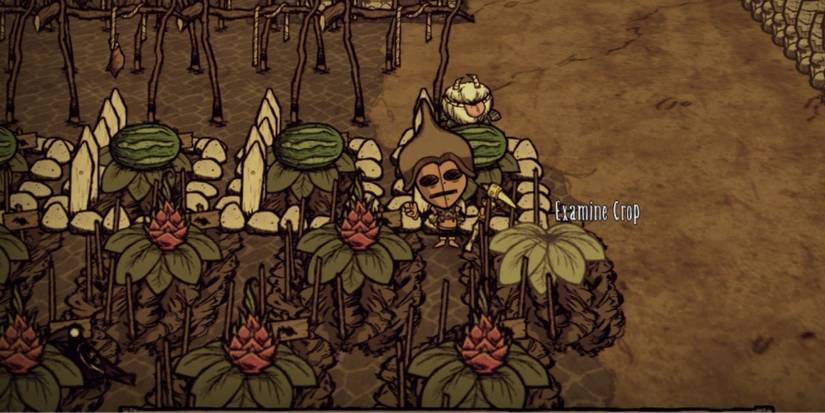 don't starve together crops farming 