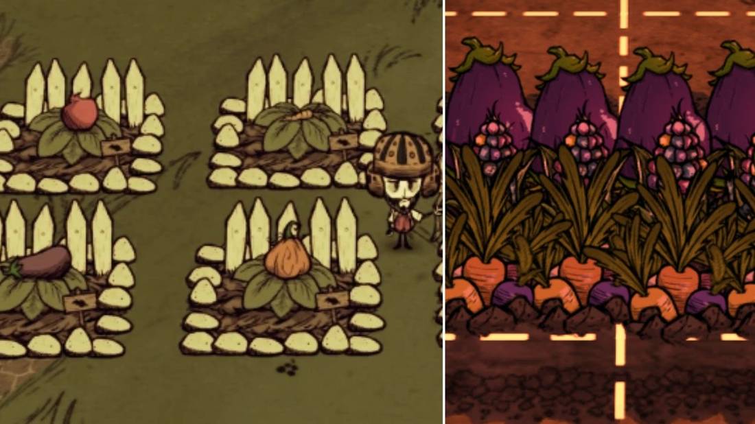 Don'T Starve Bird Cage Dragon Fruit: Ultimate Survival Guide Tips