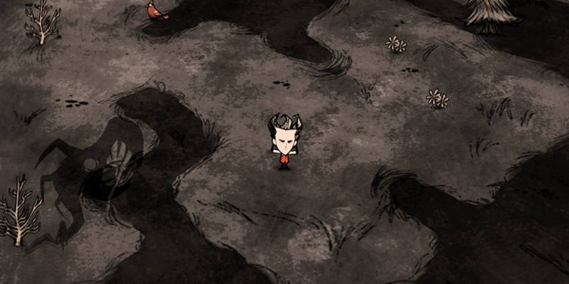 don't starve together low sanity 