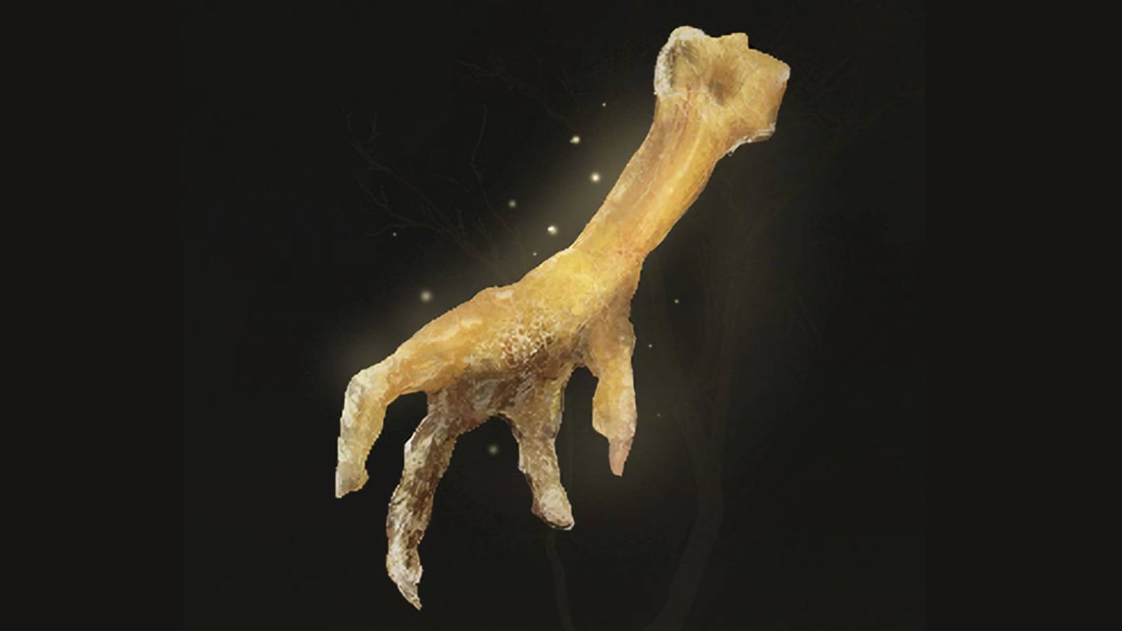 elden-ring-gold-pickled-fowl-foot