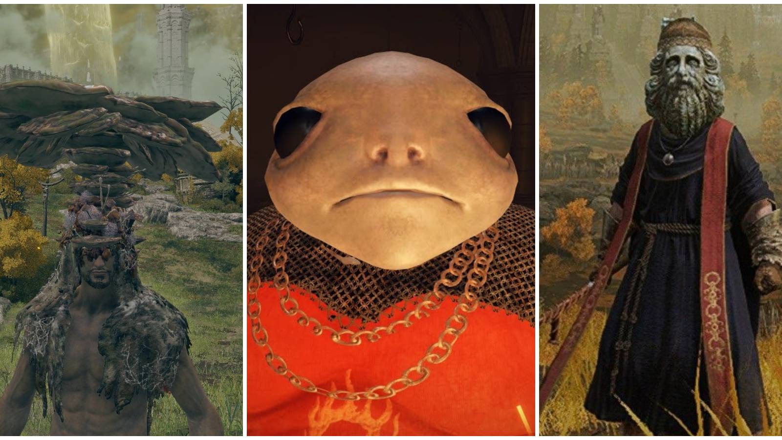 elden ring wacky armor