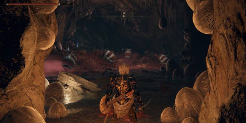 Elden Ring Giant Ants in Ainsel River Well