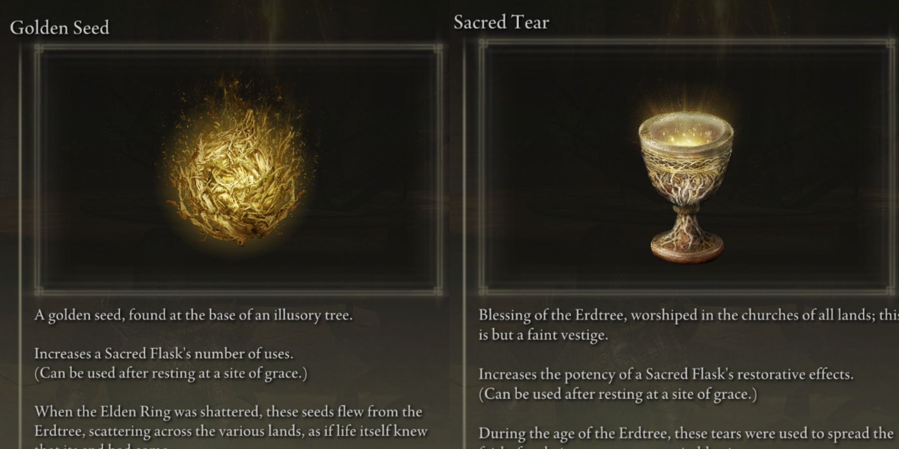 golden seed and sacred tear in elden ring
