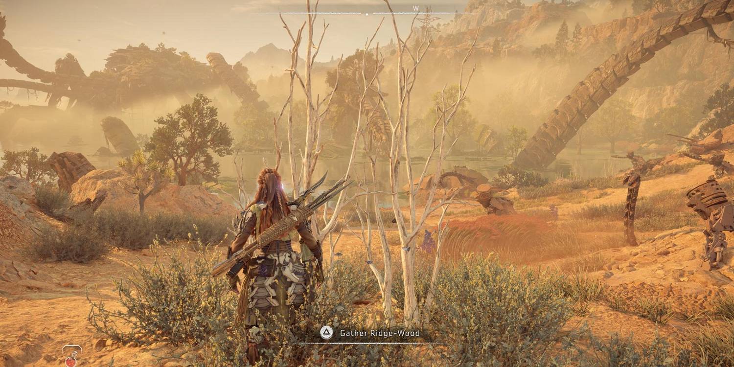 Horizon Forbidden West