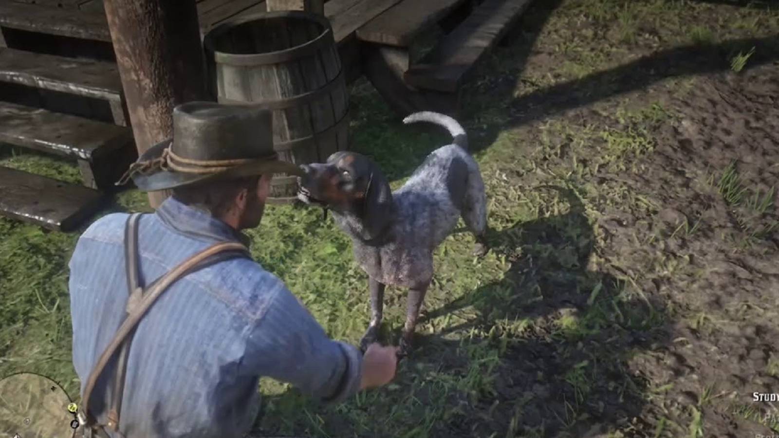 Red Dead Redemption 2 dog petting