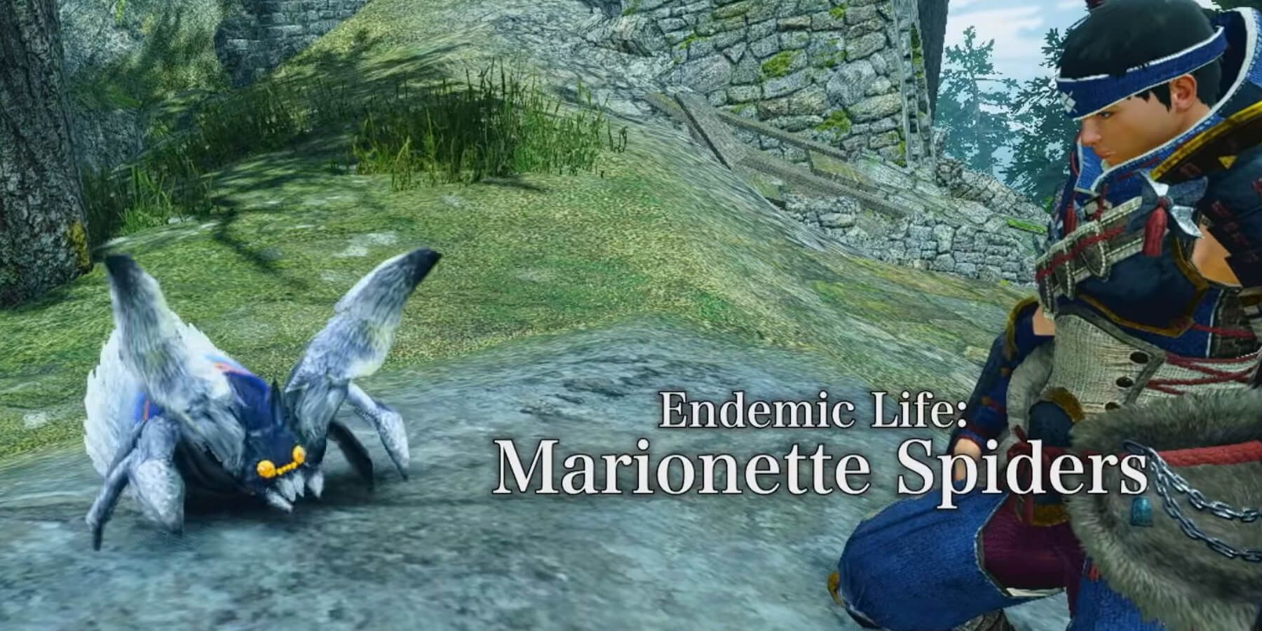 Monster Hunter Rise Sunbreak Teases Use Of New Endemic Life