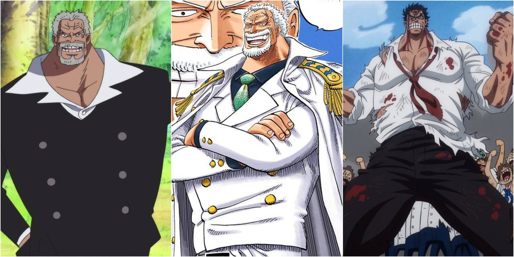 Vice admiral garp one piece