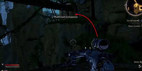 10th Lucky Dice Sunfang Oasis Tiny Tina's Wonderlands 