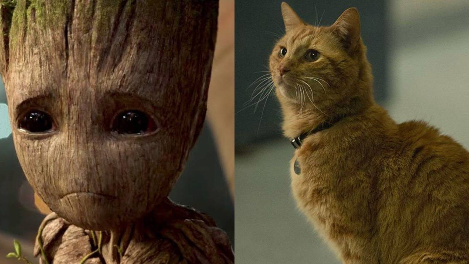 Dumbest decisions of MCU characters feature