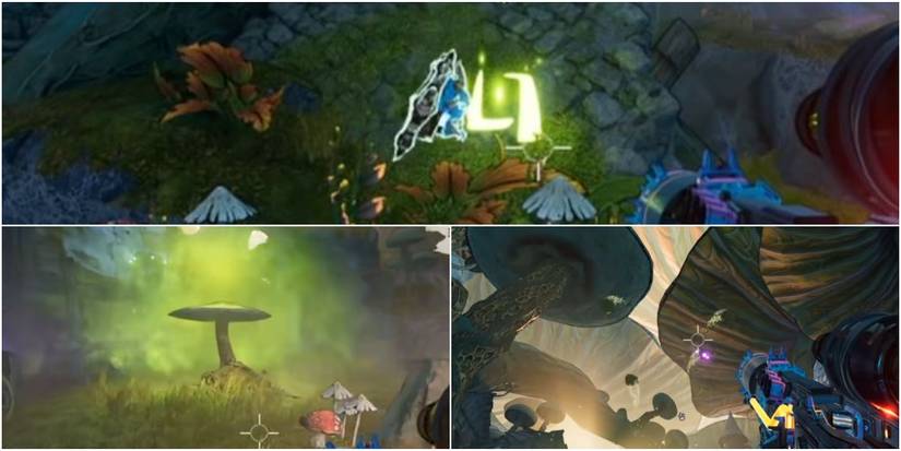 Green Rune used to summon a boss in the Chaos Chamber from Tiny Tina's Wonderlands.