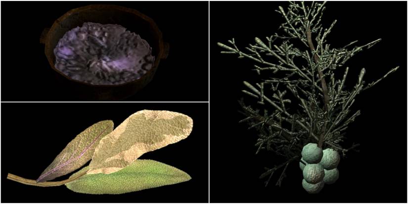 vampire dust, elves ear, juniper berries