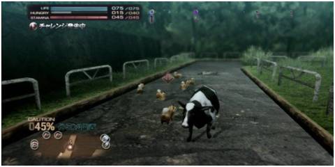 Pomeranians with cow.