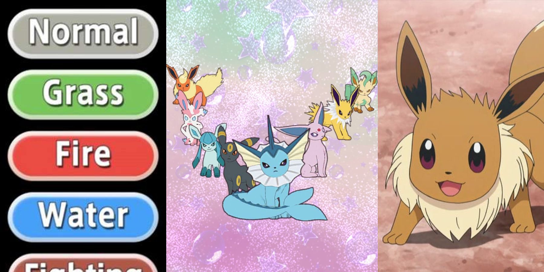 All the Eeveelutions  Pokemon eeveelutions, Pokemon, Pokemon eevee