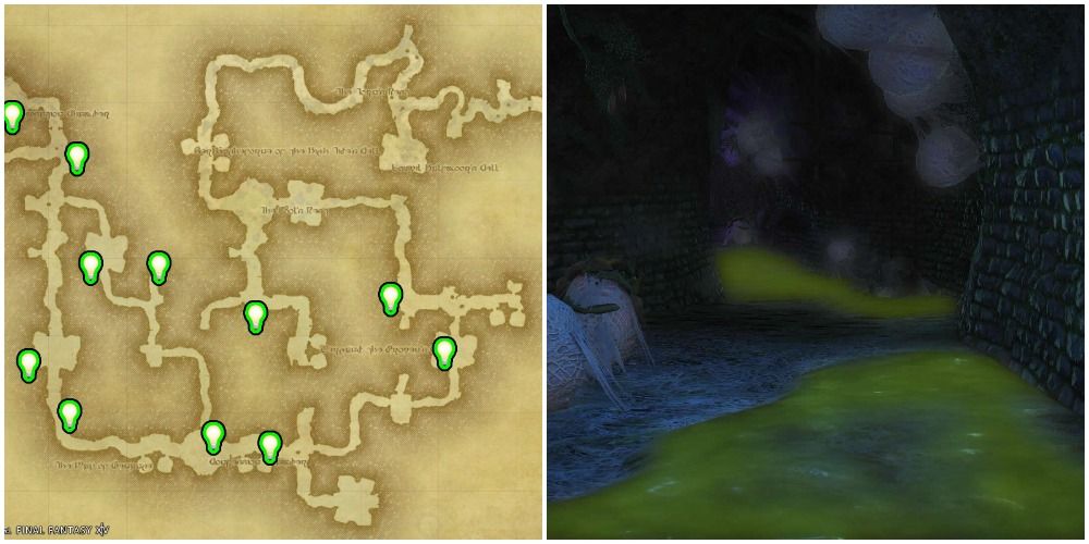 Split image of photocell map and dungeon with poison cover.