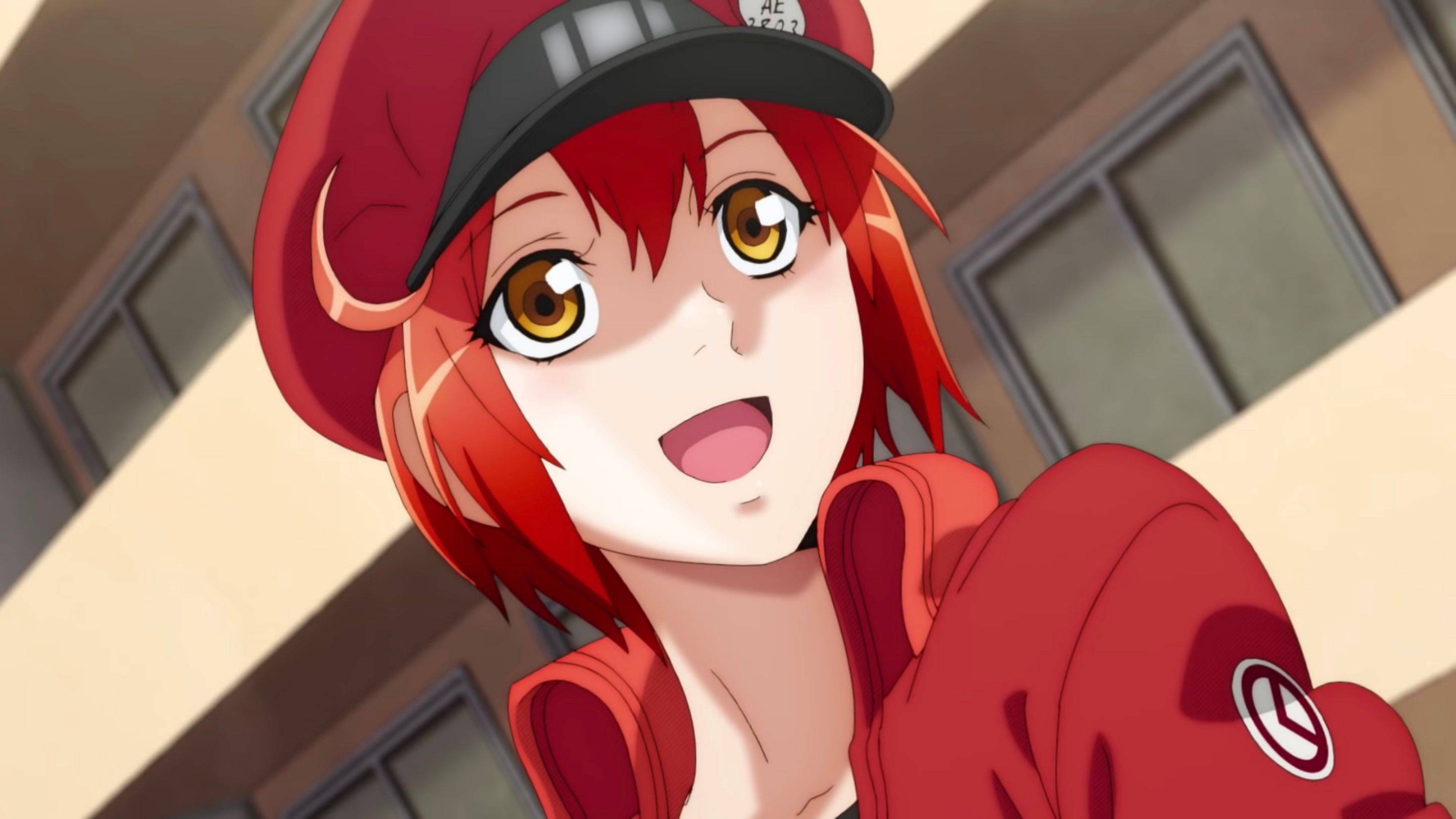 Cells at work | white blood cell x red blood cell | | Blood anime,  Character art, Anime