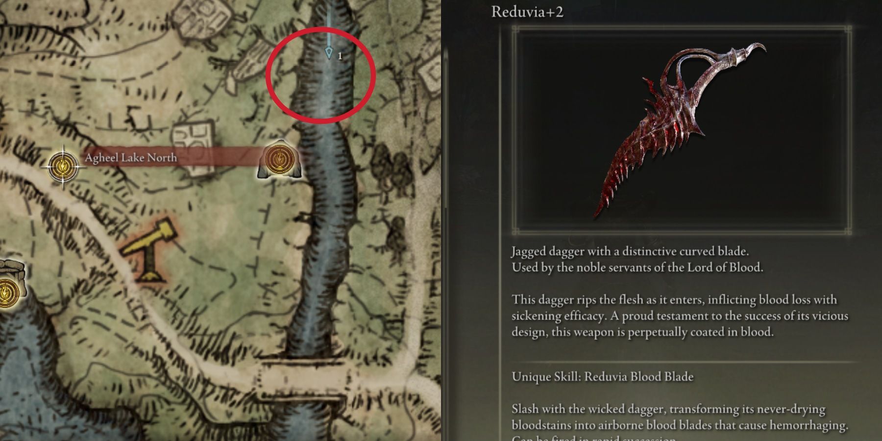 reduvia dagger location in elden ring