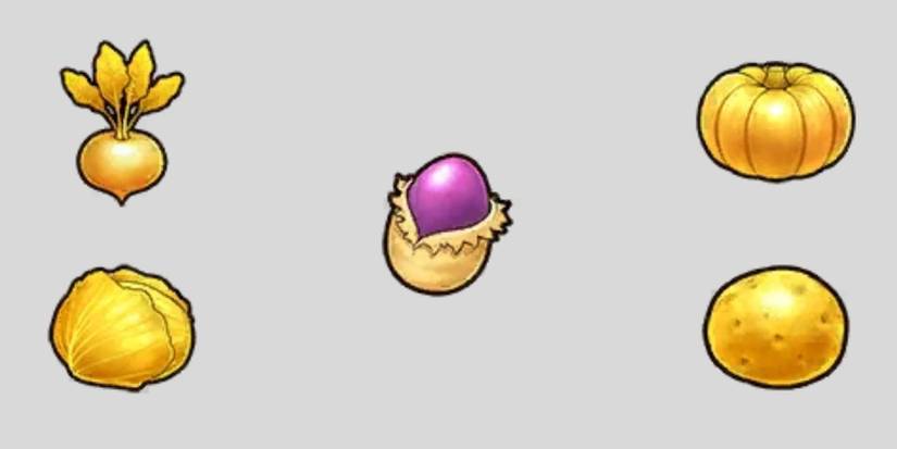 rune factory 5 winter crops