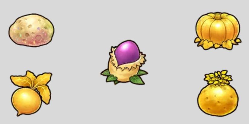 rune factory 5 winter specialty crops