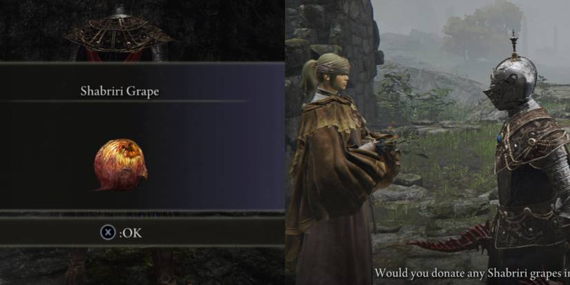 shabiri grape and hyetta in elden ring