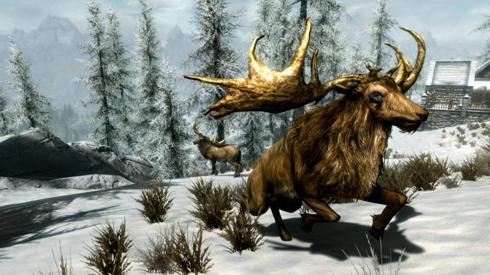skyrim elk clip