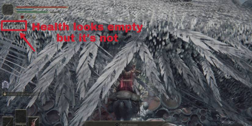 sleeping dragon near death in elden ring