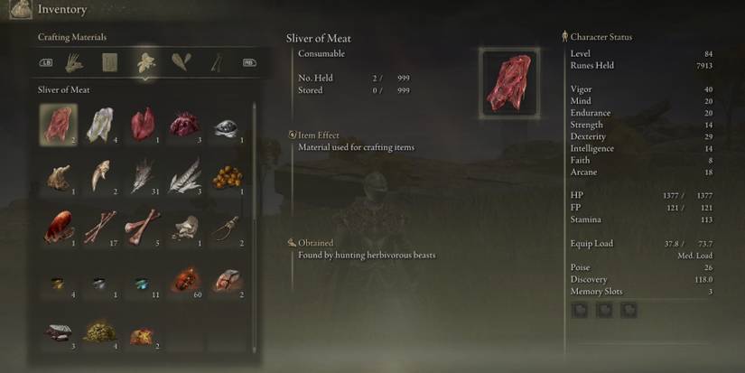 sliver of meat item in elden ring