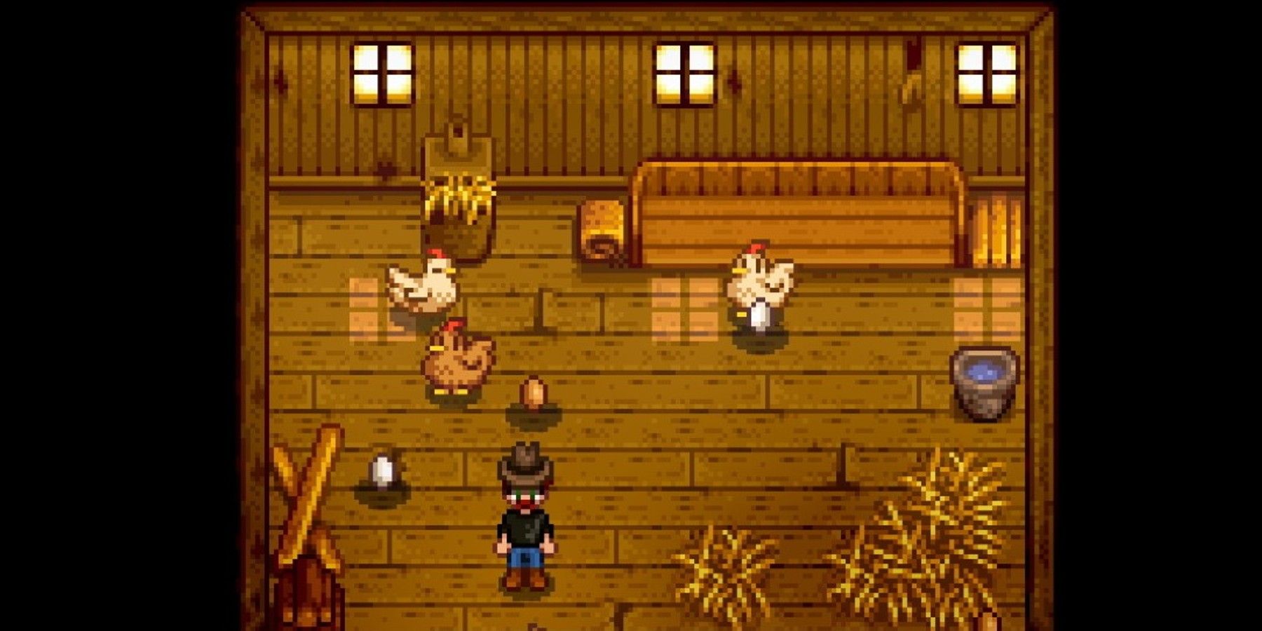 stardew valley chicken coop